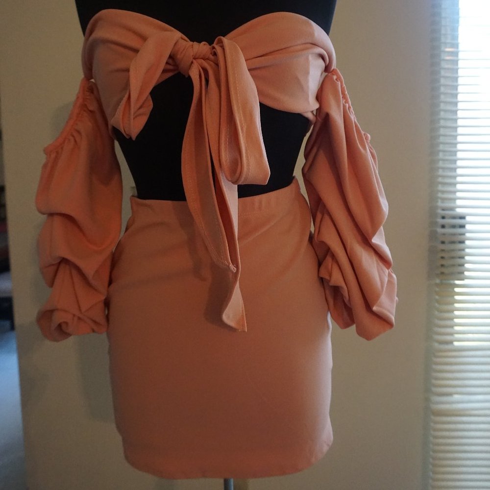 Fashion Nova crop top skirt set- pink